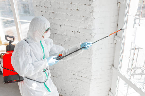 Mold Remediation for Vacation Homes in Selma, TX