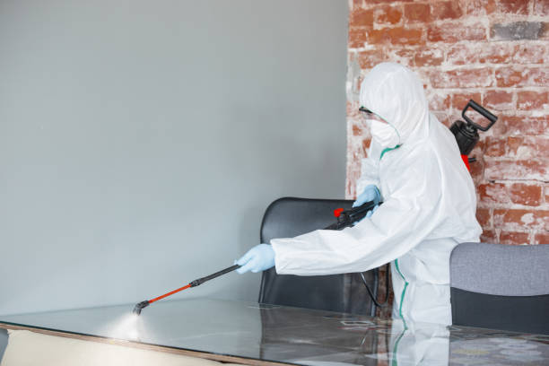 Professional Mold Inspection in Selma, TX